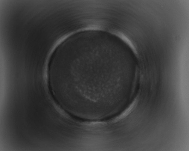 X0000095671077200801081204