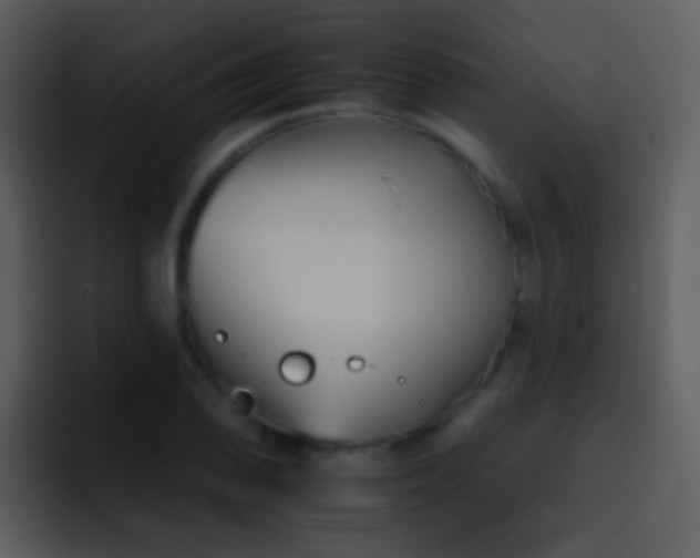 X0000095671078200801081204
