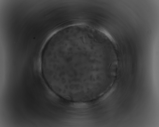 X0000095671079200801081204