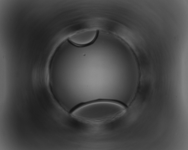 X0000095671080200801081204
