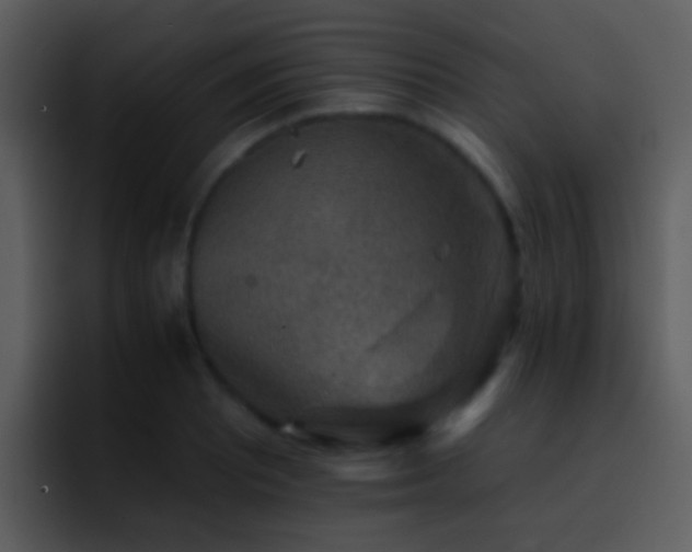 X0000095671081200801081204