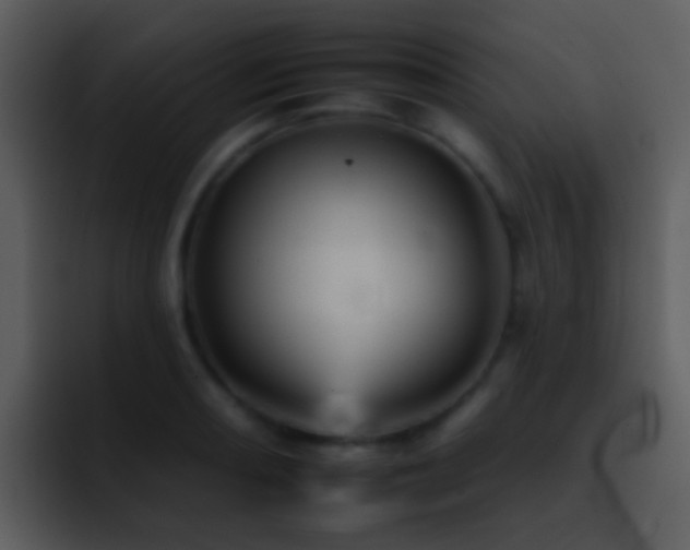 X0000095671082200801081204