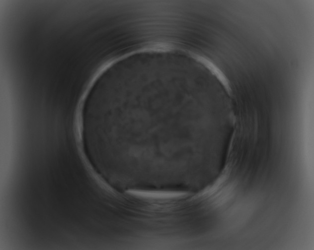 X0000095671083200801081204