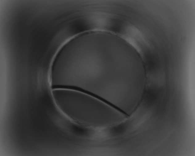 X0000095671084200801081204