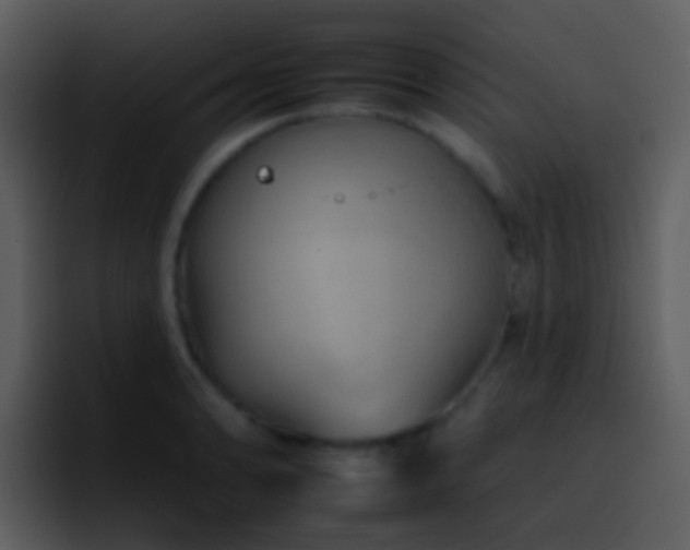 X0000095671086200801081204