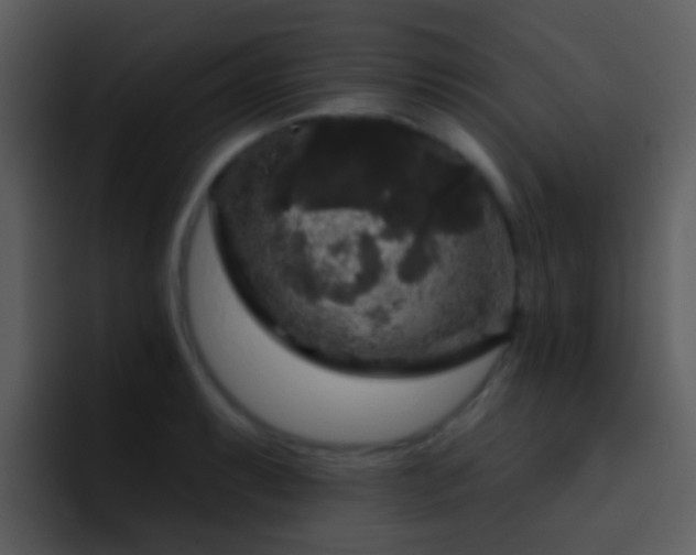X0000095671087200801081204