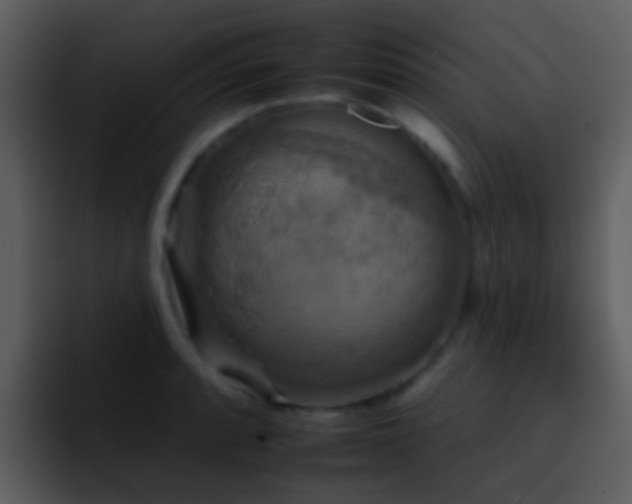 X0000095671088200801081204
