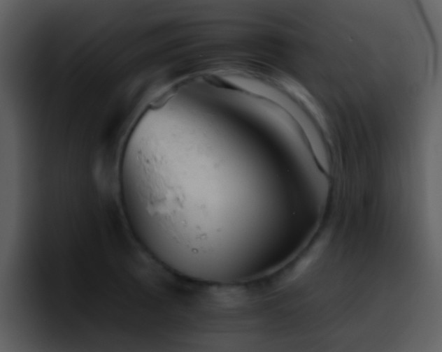 X0000095671089200801081204