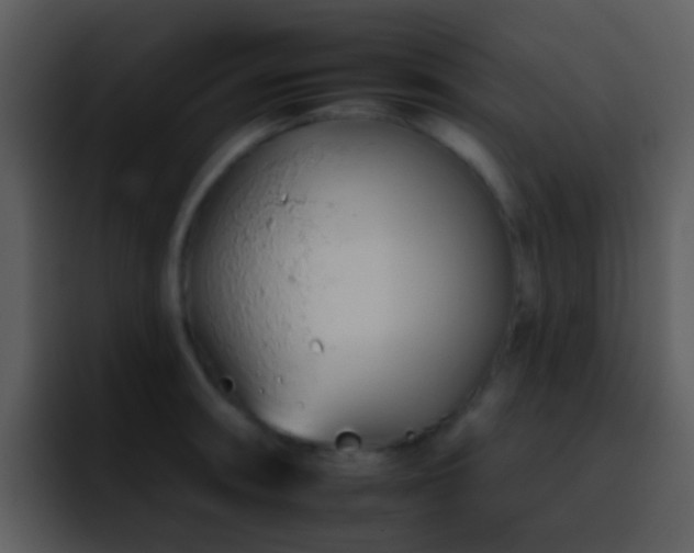 X0000095671090200801081204