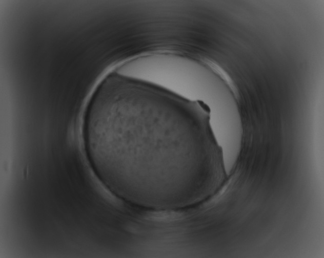X0000095671091200801081204