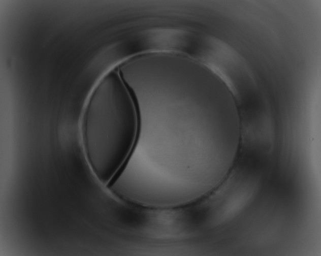 X0000095671092200801081204