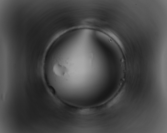 X0000095671093200801081204