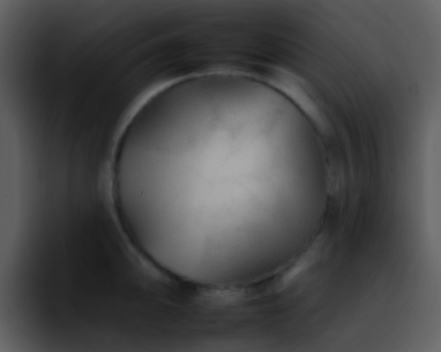 X0000095671094200801081204