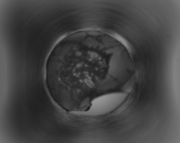 X0000095671095200801081203