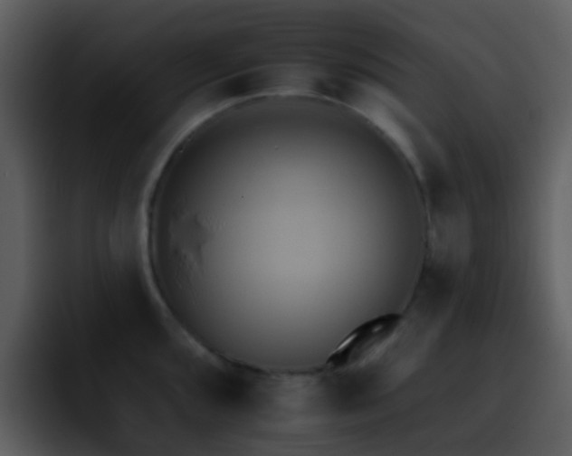 X0000095671096200801081203