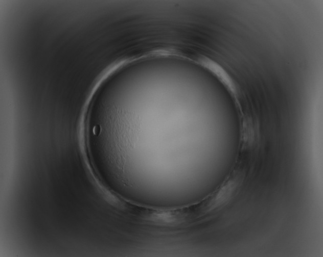 X0000095671098200801081203