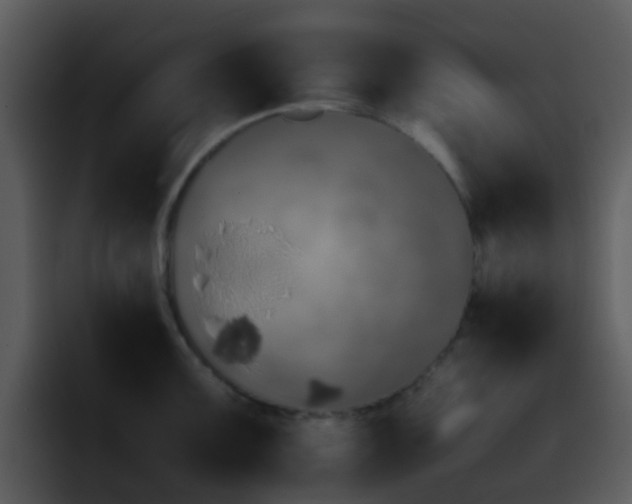 X0000095671099200801081203