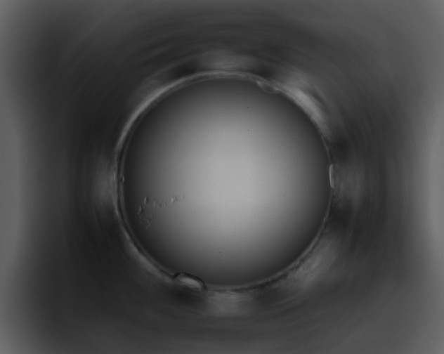 X0000095671100200801081203