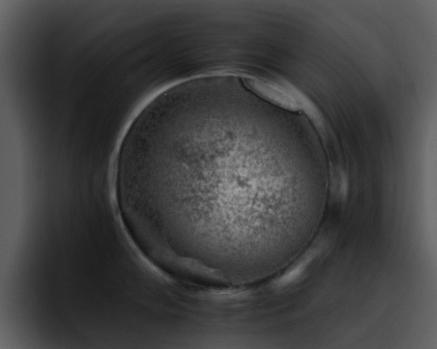 X0000095671102200801081203