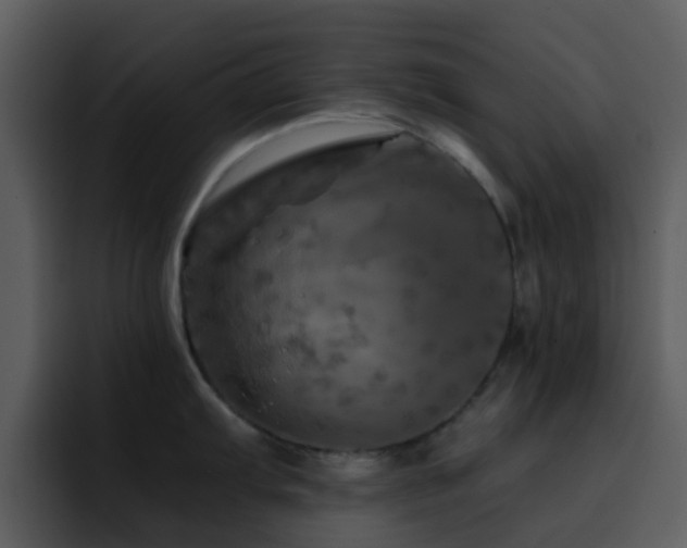 X0000095671103200801081203