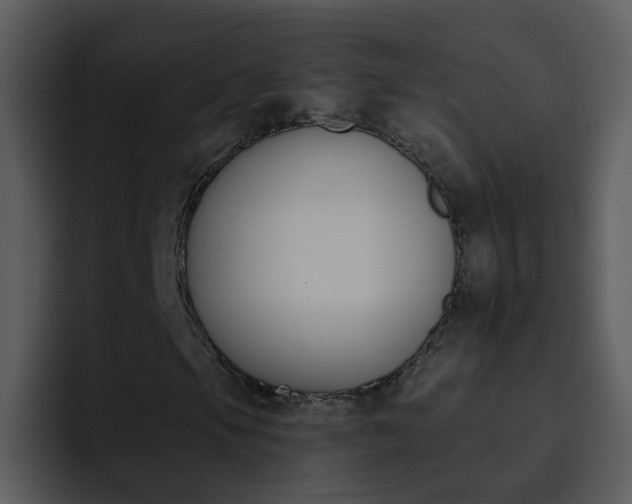 X0000095671105200801081203