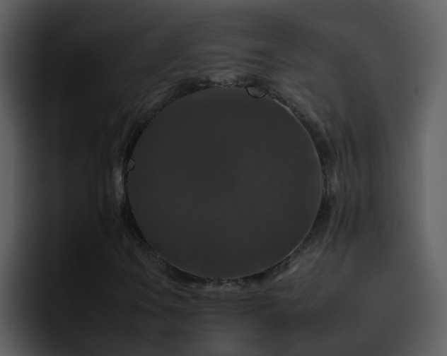 X0000095671106200801081203