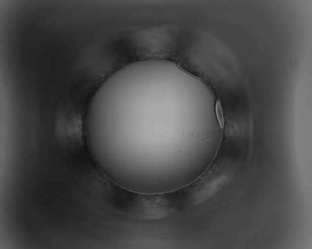 X0000095671108200801081203