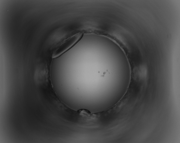 X0000095671111200801081203