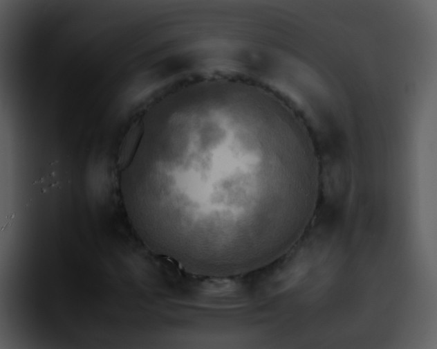 X0000095671112200801081203
