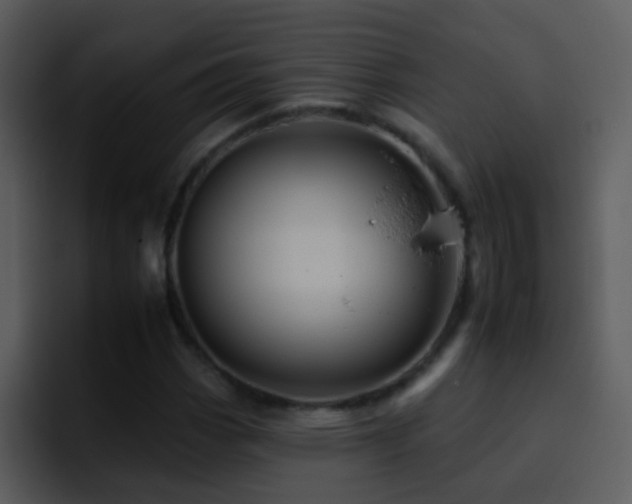 X0000095671113200801081203