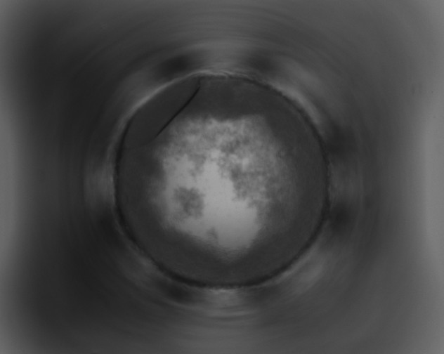 X0000095671114200801081203