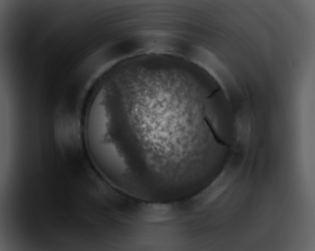X0000095671115200801081203