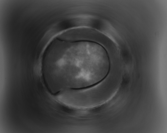 X0000095671116200801081203