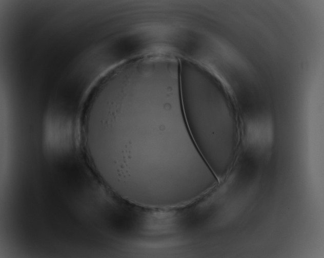 X0000095671117200801081203