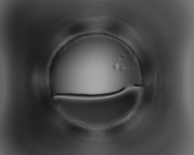 X0000095671118200801081203