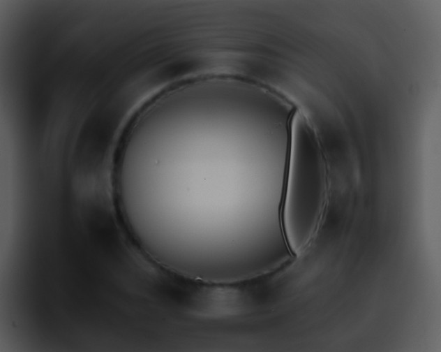 X0000095671119200801081203