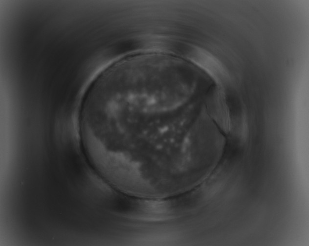 X0000095671120200801081203
