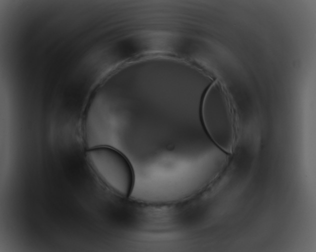 X0000095671121200801081203