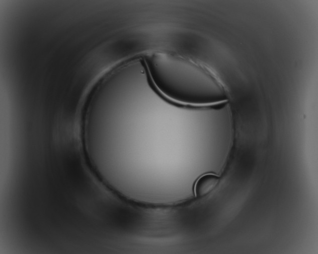 X0000095671122200801081203