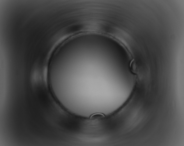 X0000095671123200801081203