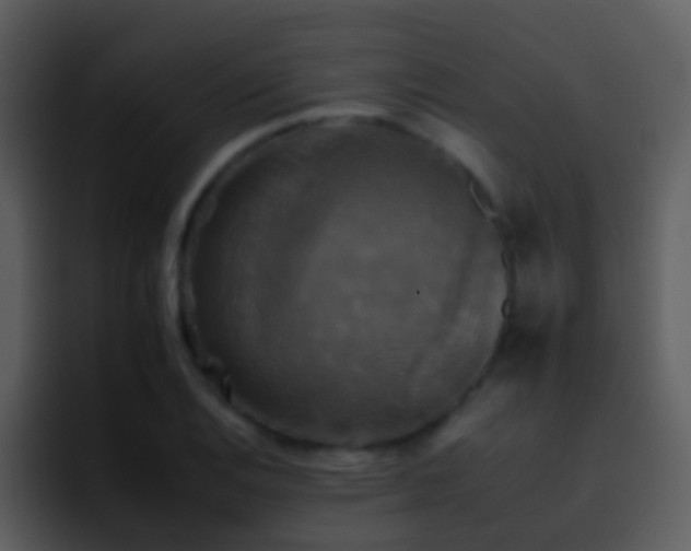 X0000095671124200801081203