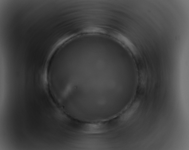 X0000095671125200801081203