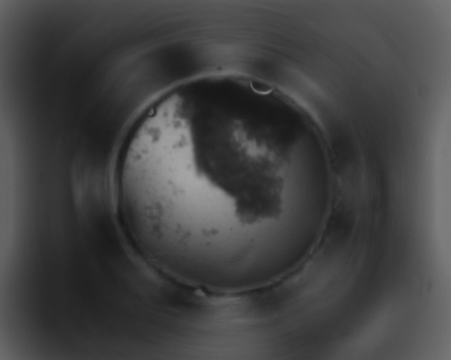 X0000095671127200801081203