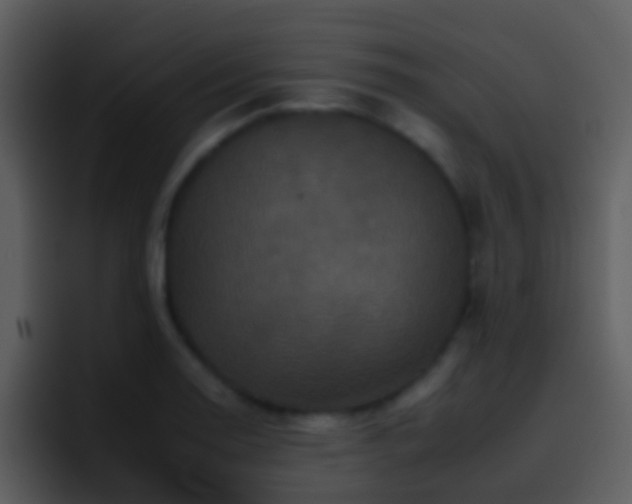 X0000095671130200801081203