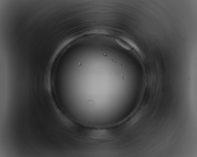 X0000095671131200801081203