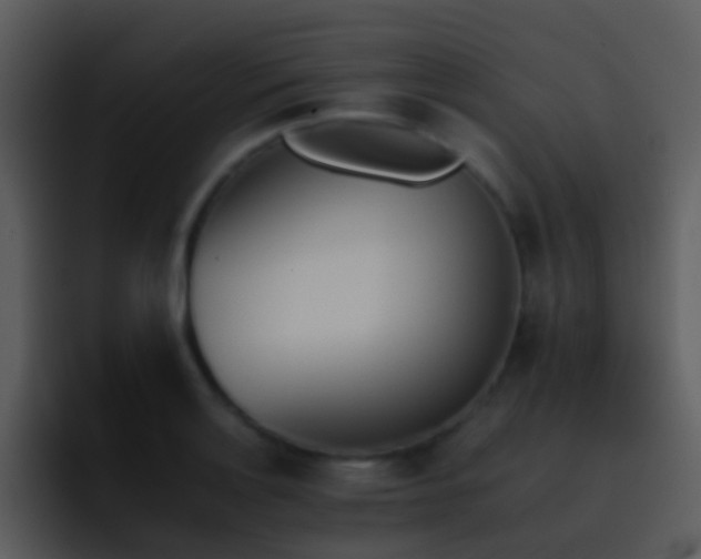 X0000095671132200801081203