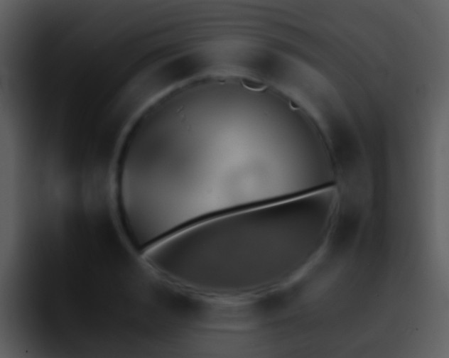 X0000095671133200801081203