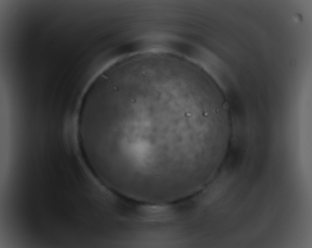 X0000095671134200801081203