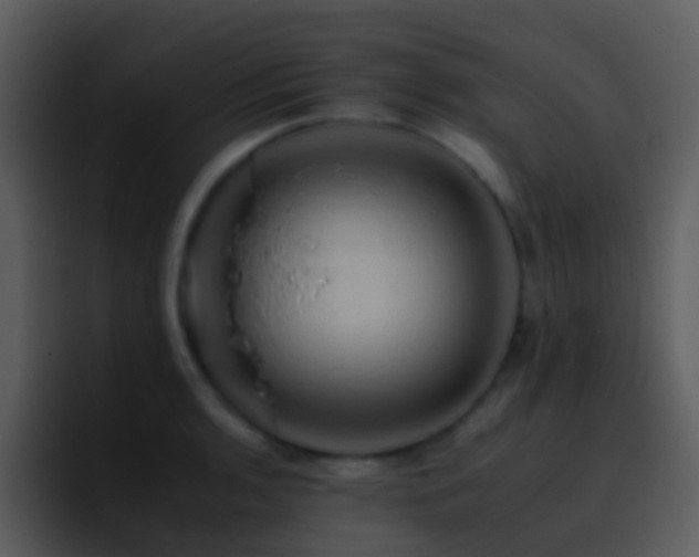 X0000095671136200801081203
