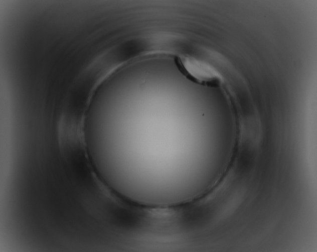 X0000095671137200801081203